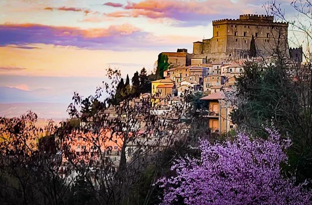 Appartamento Casa Divitia Soriano nel Cimino Esterno foto